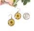 Pressed yellow Flower Botanical circle Dangle Earrings natural jewelry