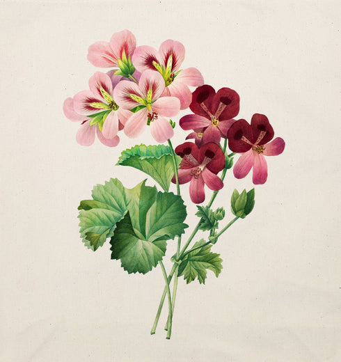Vintage Geranium Flowers tote bag gift for her
