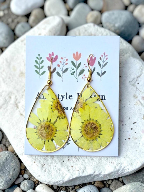 Real Daisy Flower Resin Teardrop Earrings