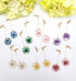 Handmade Dried flower Small Botanical Circle Earrings Handmade Resin Earrings , Real flower jewelry, Gifts for Her
